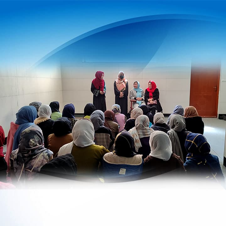 ISNO main Activities 